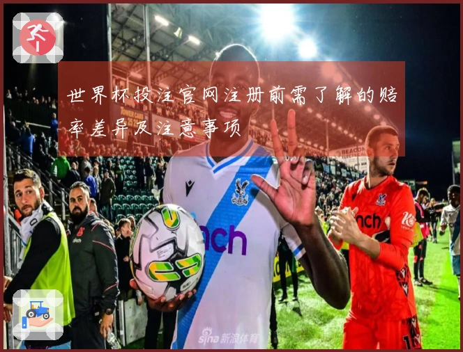 世界杯投注官网注册前需了解的赔率差异及注意事项