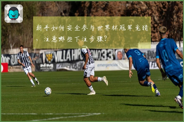 新手如何安全参与世界杯冠军竞猜，注意哪些下注步骤？
