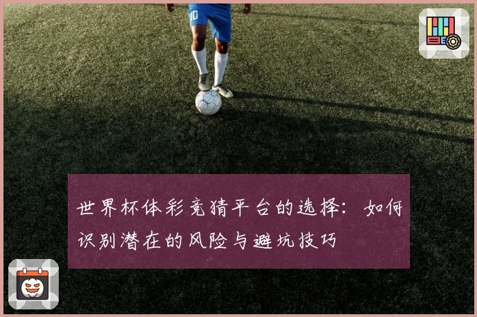 世界杯体彩竞猜平台的选择：如何识别潜在的风险与避坑技巧