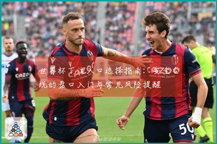 世界杯下注入口选择指南：安全合规的盘口入门与常见风险提醒