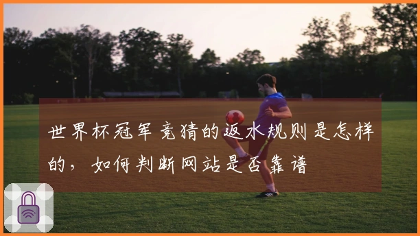 世界杯冠军竞猜的返水规则是怎样的，如何判断网站是否靠谱